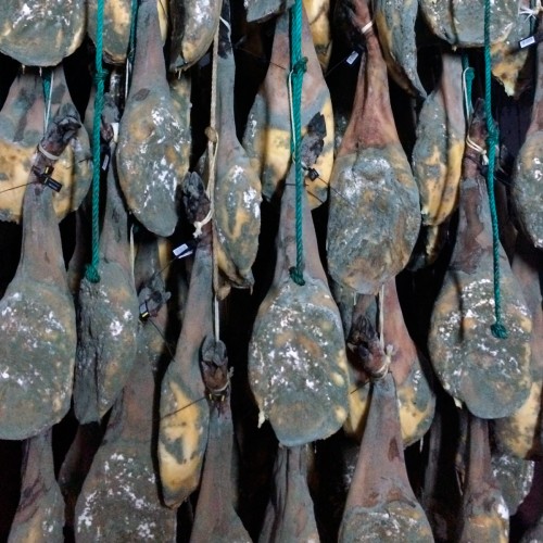 tapas-shop